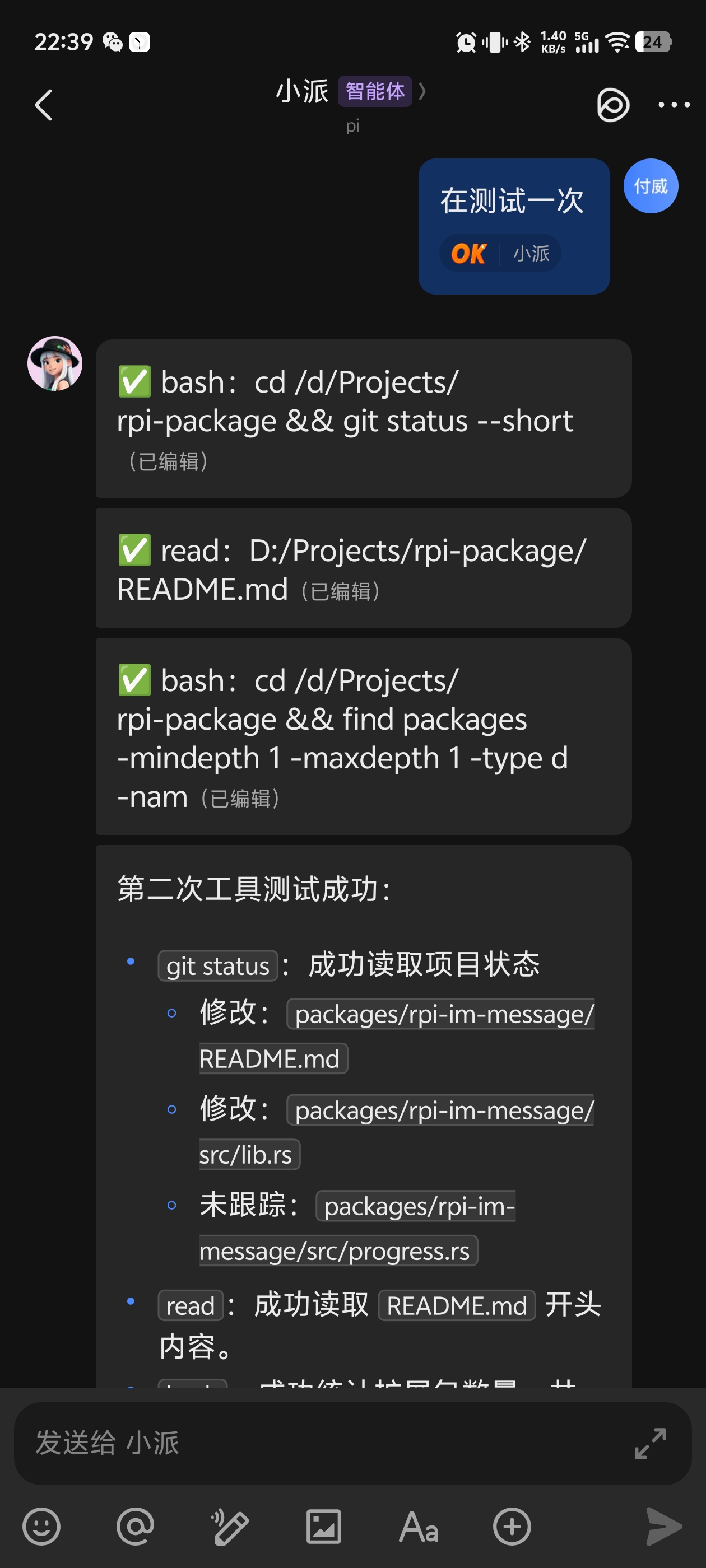 rpi Agent 接入飞书后的对话截图